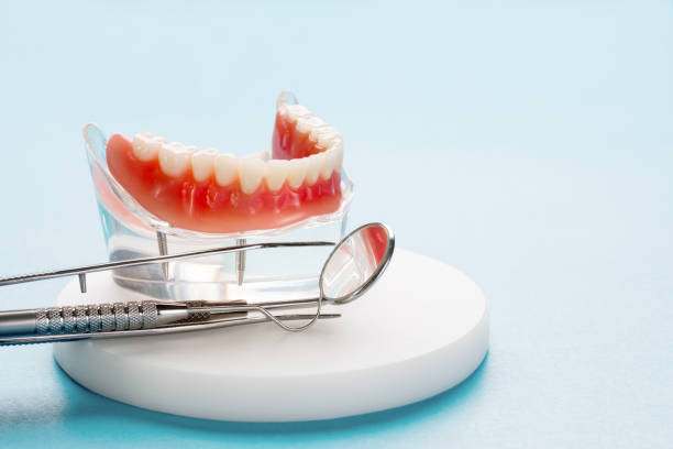 Professional Holistic Dental Care Services in Finley, WA